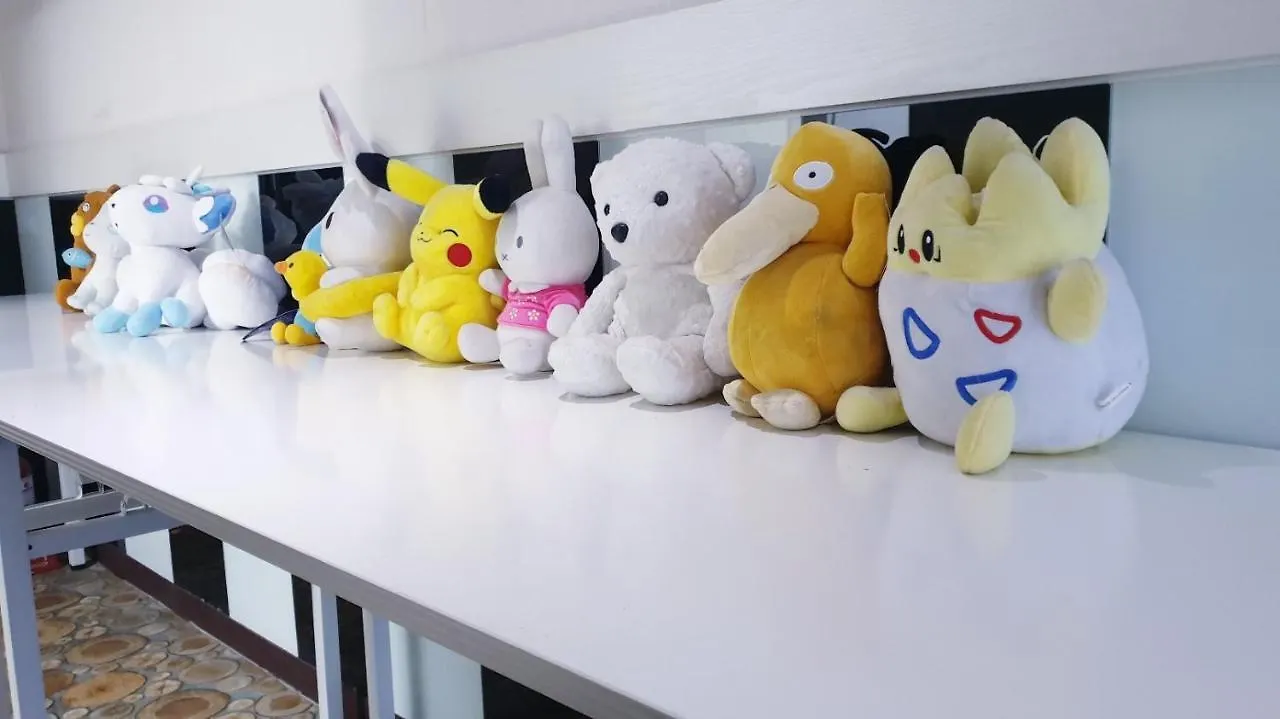 Oppa Hostel Sinchon-Hongdae Seoul 0*,  South Korea