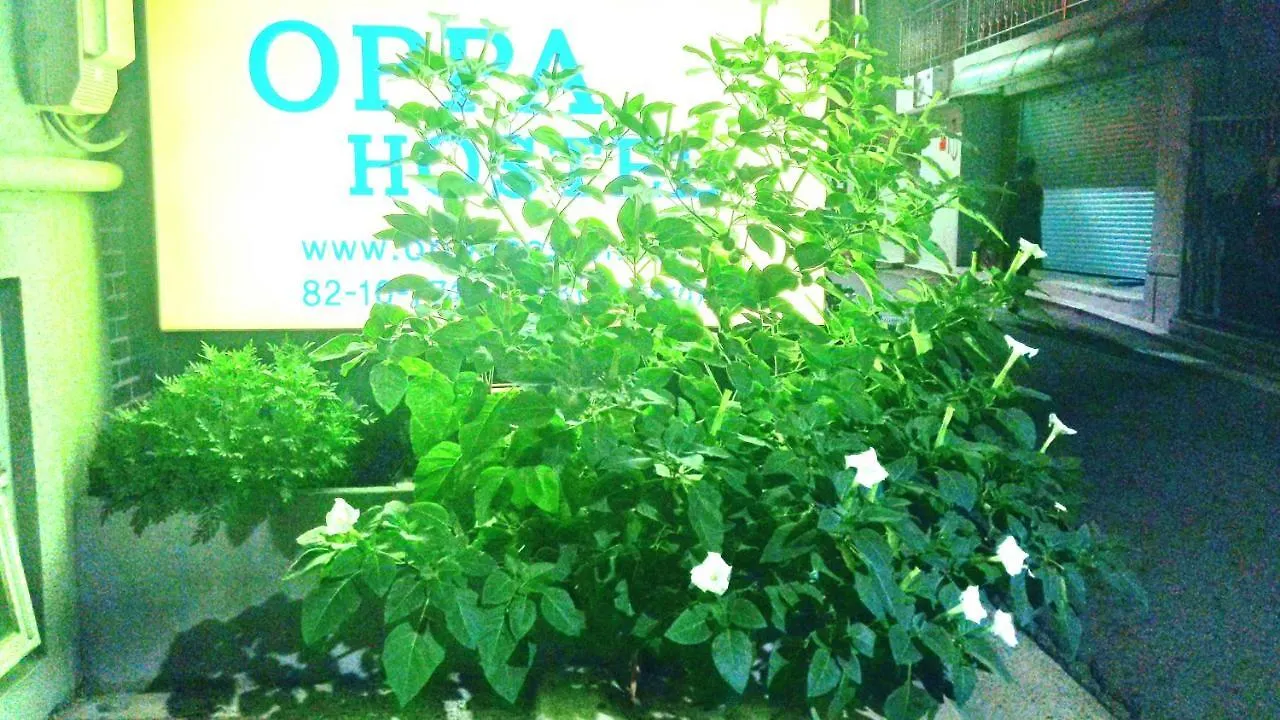 Oppa Hostel Sinchon-Hongdae Seoul